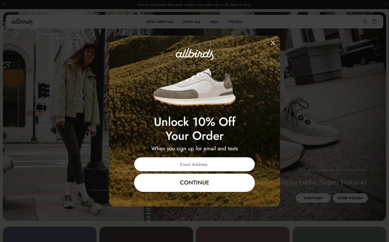 allbirds.com no computador, como a auditoria viu