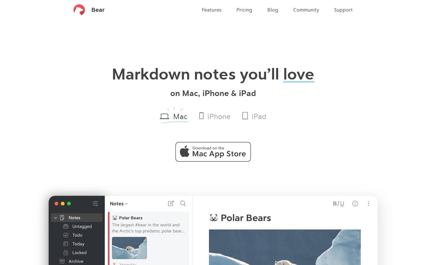 bear.app en escritorio, tal como la auditoría lo vio