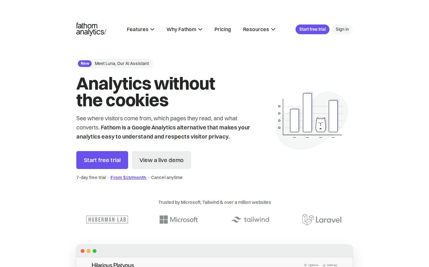 usefathom.com no computador, como a auditoria viu