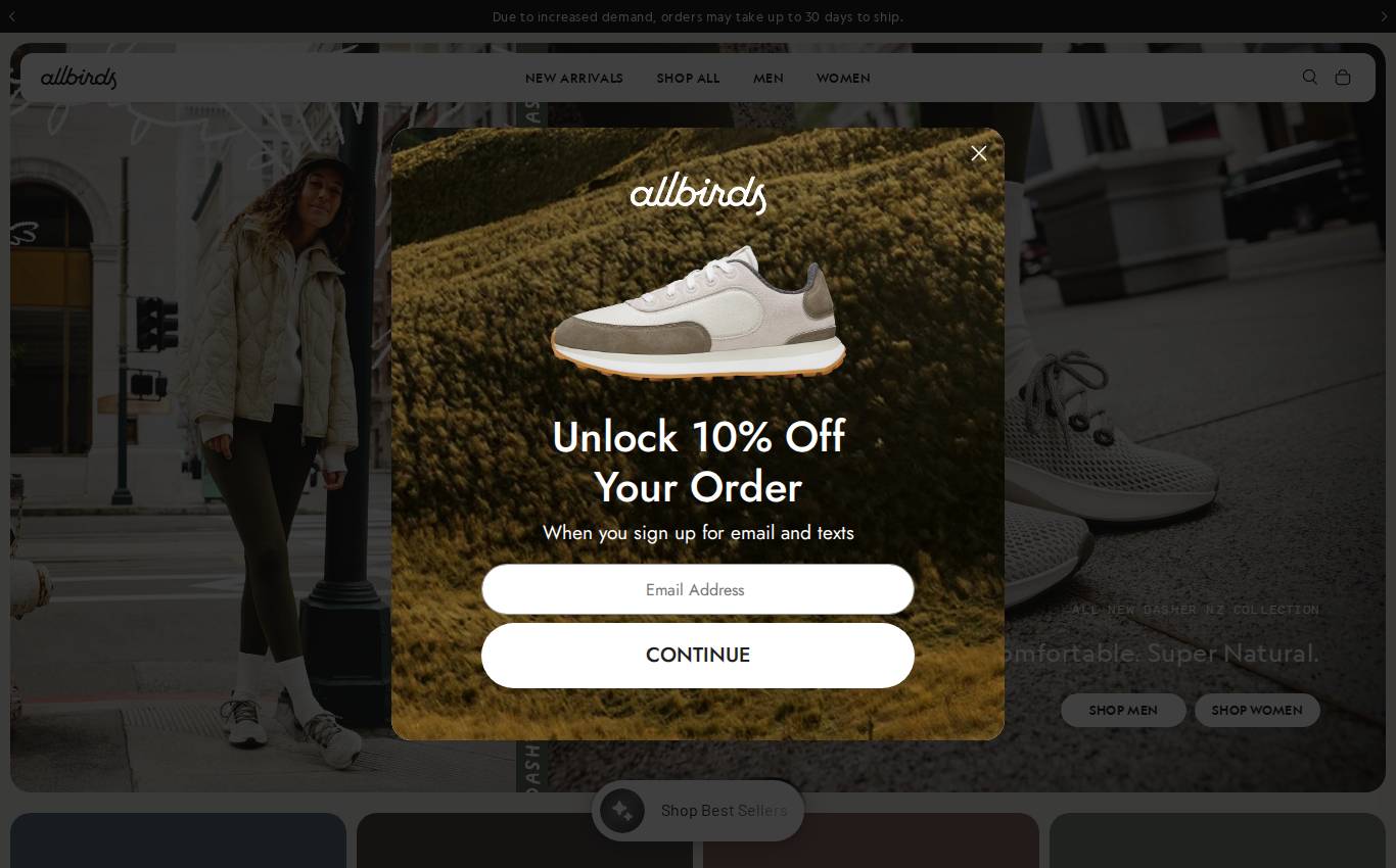 allbirds.com en escritorio, tal como lo vio la auditoría