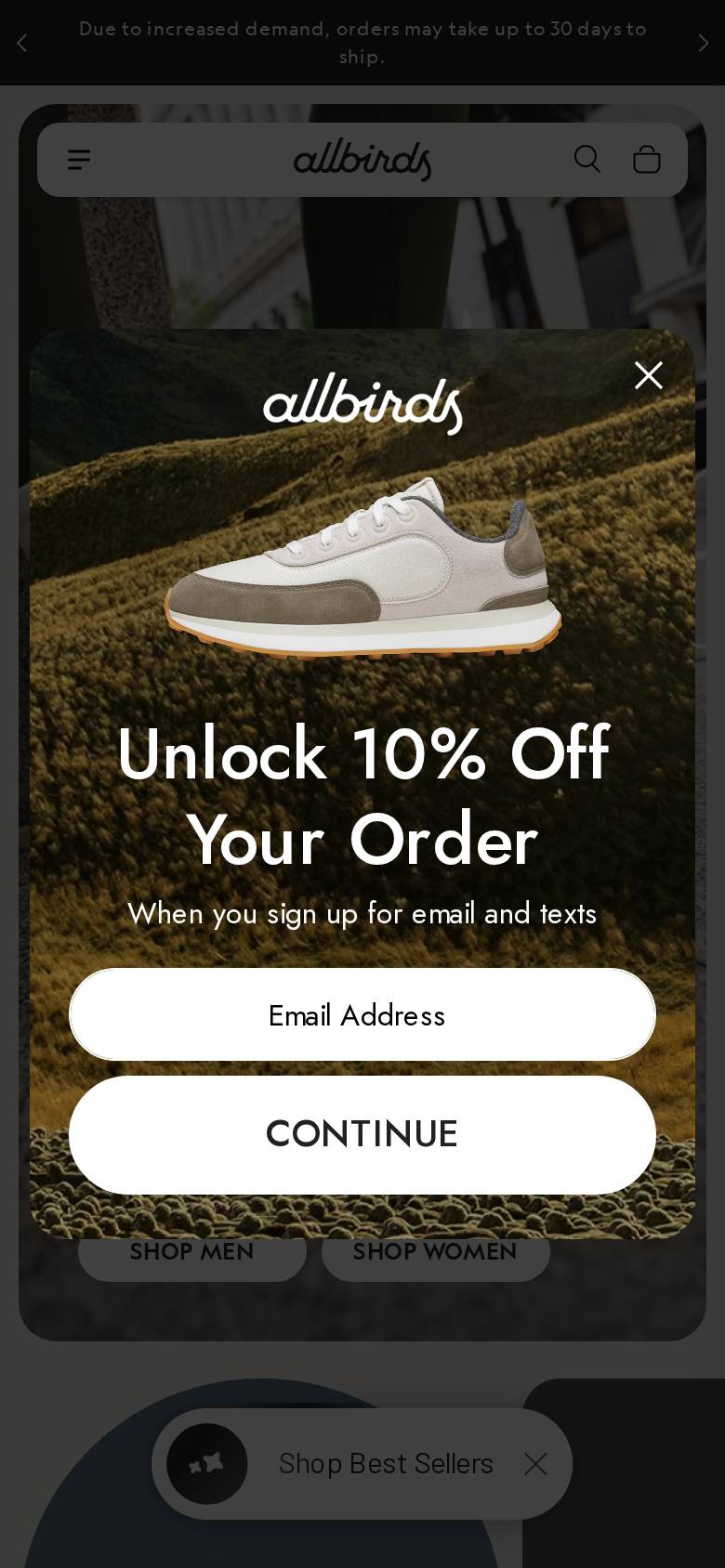 allbirds.com en el celular