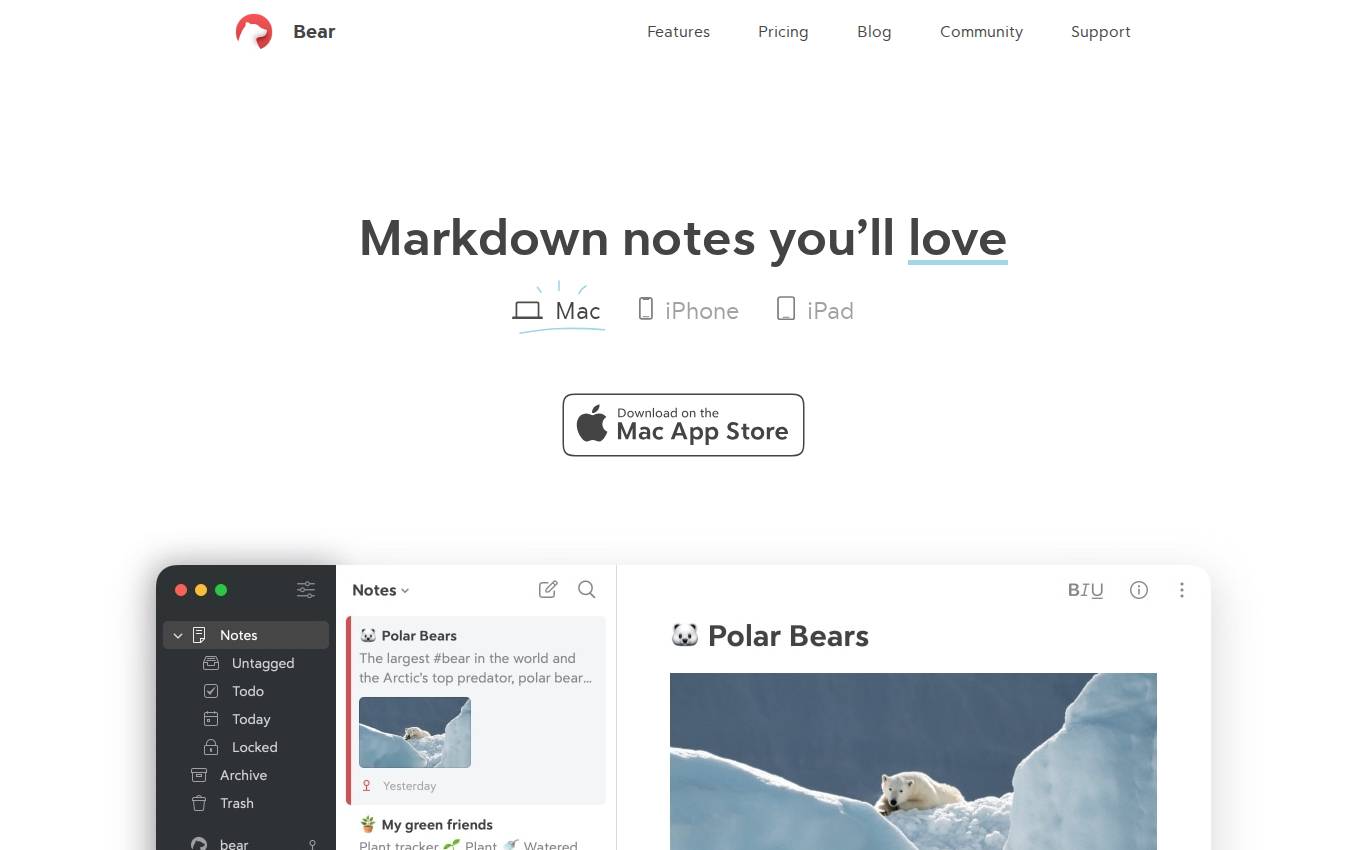 bear.app no computador, como a auditoria viu